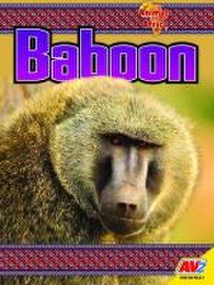 Baboon de Katie Gillespie