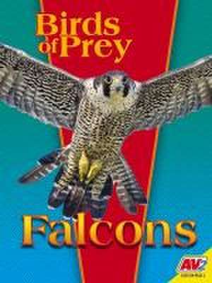 Falcons de E Melanie Watt