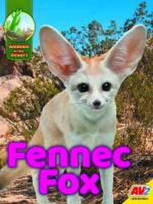 Fennec Fox de Jared Siemes