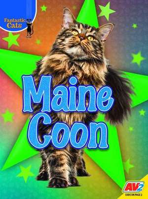Maine Coon de Heather Kissock