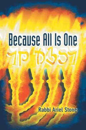 Because All Is One de Rabbi Ariel Stone