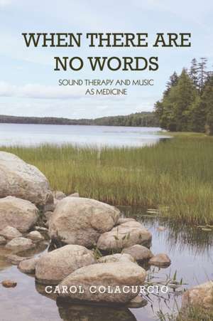 When There Are No Words de Carol Colacurcio