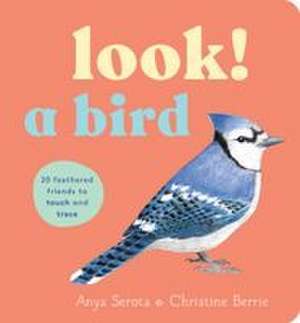 Look! a Bird de Anya Serota