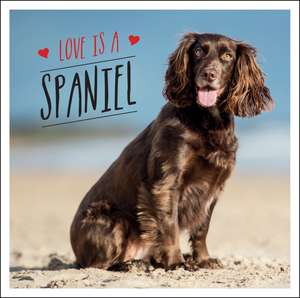 Love is a Spaniel: A Dog-Tastic Celebration of the World’s Most Lovable Breed de Charlie Ellis