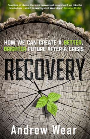 Recovery: How We Can Create a Better, Brighter Future After a Crisis de Andrew Wear