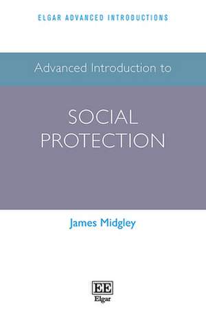 Advanced Introduction to Social Protection de James Midgley