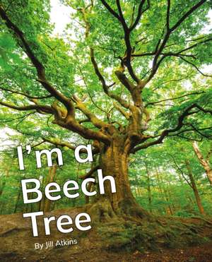 I'm a Beech Tree