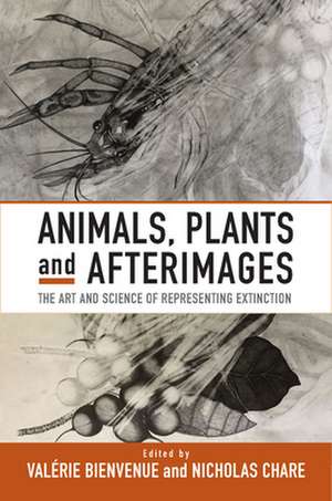 Animals, Plants and Afterimages de Valérie Bienvenue