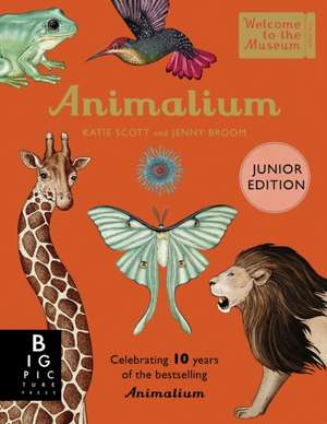 Animalium (Junior Edition) de Jenny Broom