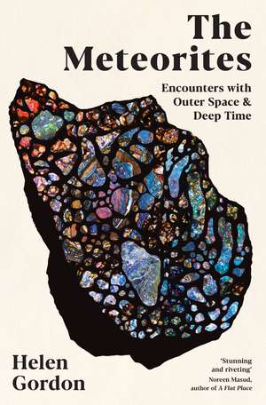 The Meteorites: Encounters with Outer Space and Deep Time de Helen Gordon