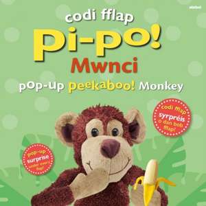 Codi Fflap Pi-po! Mwnci / Pop-up Peekaboo! Monkey de Dawn Sirett
