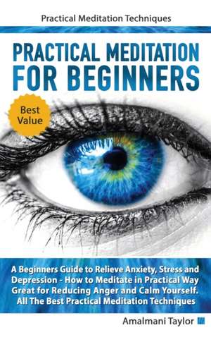 Practical Meditation For Beginners - A Beginners Guide to Relieve Anxiety, Stress and Depression. How to Meditate in Practical Way. Great for Reducing Anger and Calm Yourself. Practical Techniques de ¿Amalmani Taylor