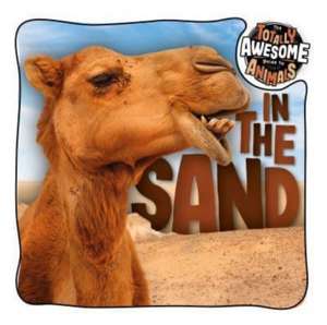 In the Sand de Brenda McHale