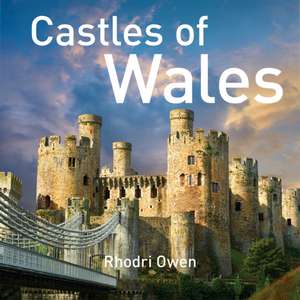 Castles of Wales de Rhodri Owen