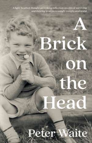 A Brick on the Head de Peter Waite