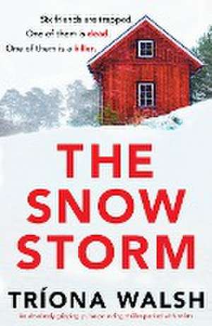 The Snowstorm de Tríona Walsh