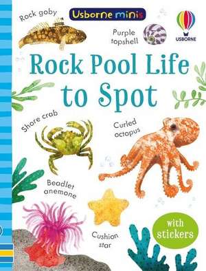 Rock Pool Life to Spot de Simon Tudhope