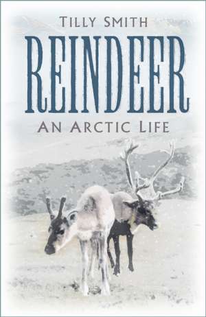 Reindeer de Tilly Smith