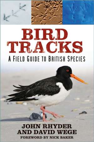 Bird Tracks de David Wege