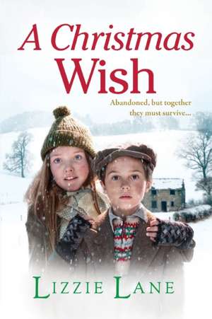 A Christmas Wish de Lizzie Lane