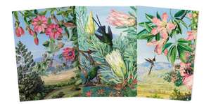 Kew Gardens: Marianne North Set of 3 Midi Notebooks de Flame Tree Studio