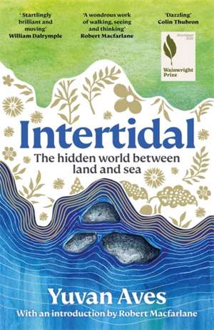 Intertidal de Yuvan Aves