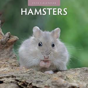 Hamsters 2024 Square Wall Calendar de Red Robin Publishing Ltd.