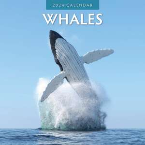 Whales 2024 Square Wall Calendar de Red Robin Publishing Ltd.