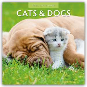 Cats & Dogs - Katzen & Hunde 2025 - 16-Monatskalender de Robin Red