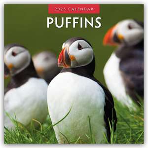 Puffins - Papageitaucher 2025 - 16-Monatskal.