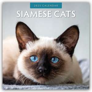 Siamese Cats - Siamkatzen - Siamesische Katzen 2025 - 16-Monatskalender de Robin Red