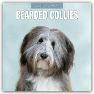 Bearded Collies - Bearded Collie 2025 - 16-Monatskalender de Robin Red