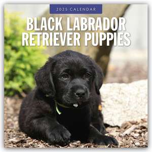 Black Labrador Retriever Puppies - Schwarze Labrador Retriever Welpen 2025 - 16-Monatskalender de Robin Red