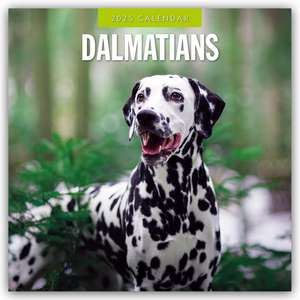 Dalmatians - Dalmatiner 2025 - 16-Monatskalender de Robin Red