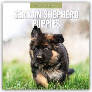 German Shepherd Puppies - Deutsche Schäferhunde Welpen 2025 - 16-Monatskalender de Robin Red