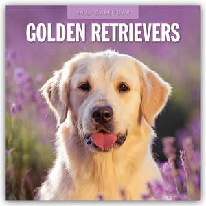 Golden Retrievers - Golden Retriever 2025 - 16-Monatskalender de Robin Red