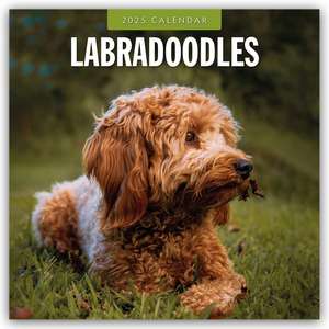 Labradoodles - Labradoodle 2025 - 16-Monatskalender de Robin Red