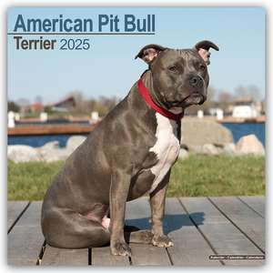 Avonside Publishing Ltd: American Pit Bull Terrier 2025 - 16