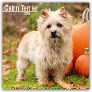 Avonside Publishing Ltd: Cairn Terrier - Cairn Terrier 2025