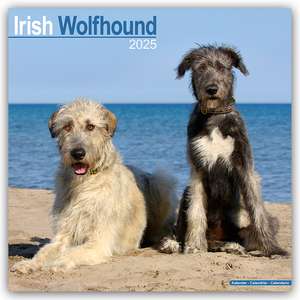 Irish Wolfhound - Irischer Wolfshund 2025 - 16-Monatskalender de Avonside Publishing Ltd.