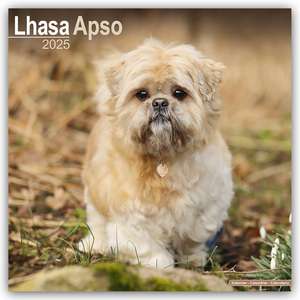 Lhasa Apso - Lhasaterrier 2025 - 16-Monatskalender de Avonside Publishing Ltd.