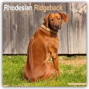 Rhodesian Ridgeback - Afrikanischer Löwenhund 2025 - 16-Monatskalender de Avonside Publishing Ltd