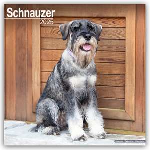 Schnauzer - Schnauzer 2025 - 16-Monatskalender de Avonside Publishing Ltd