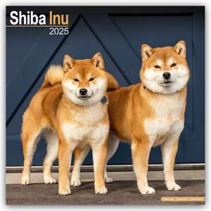 Shiba Inu 2025 - 16-Monatskalender de Avonside Publishing Ltd