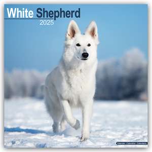 White German Shepherd - Weißer Schäferhund 2025 - 16-Monatskalender de Avonside Publishing Ltd.