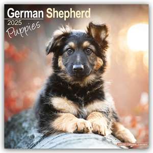 German Shepherd Puppies - Deutsche Schäferhund Welpen 2025 - 16-Monatskalender de Avonside Publishing Ltd