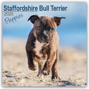 Staffordshire Bull Terrier Puppies - Staffordshire Bull Terrier Welpen 2025 - 16-Monatskalender de Avonside Publishing Ltd