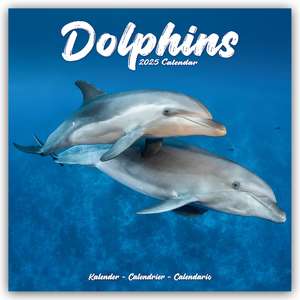 Dolphins - Delfine - Delphine 2025 - 16-Monatskalender de Avonside Publishing Ltd