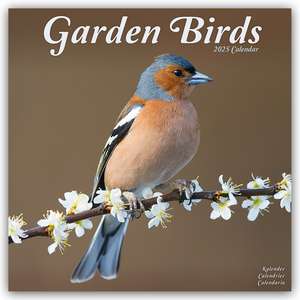 Avonside Publishing Ltd: Garden Birds - Gartenvögel 2025 - 1