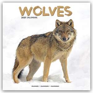 Wolves - Wölfe 2025 - 16-Monatskalender de Avonside Publishing Ltd